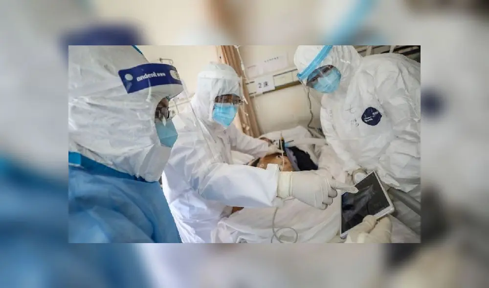 A rat sniffs for food at Klong Toei wet market in Bangkok on April 10, 2020 as Thailand's confinement measures to reduce the spread of the COVID-19 novel coronavirus made their source of food more scarce. - As humans retreat indoors at night to fight a virus, Bangkok's streets are handed over to increasingly brazen rats who are venturing out across the Thai capital in huge numbers. (Photo by Mladen ANTONOV / AFP) A rat sniffs for food at Klong Toei wet market in Bangkok on April 10, 2020 as Thailand's confinement measures to reduce the spread of the COVID-19 novel coronavirus made their source of food more scarce. - As humans retreat indoors at night to fight a virus, Bangkok's streets are handed over to increasingly brazen rats who are venturing out across the Thai capital in huge numbers. (Photo by Mladen ANTONOV / AFP)