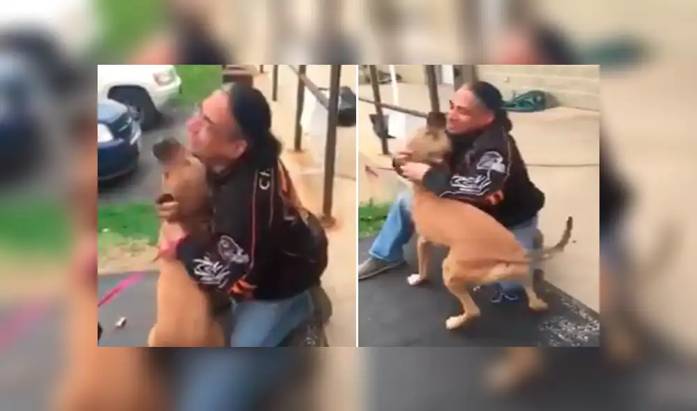 Desliza hacia la izquierda para ver el conmovedor reencuentro de un perro con su amo que se ha vuelto viral en Facebook.