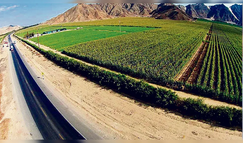 Efectos negativos. Ya se sienten en valles liberteños. Efectos negativos. Ya se sienten en valles liberteños.