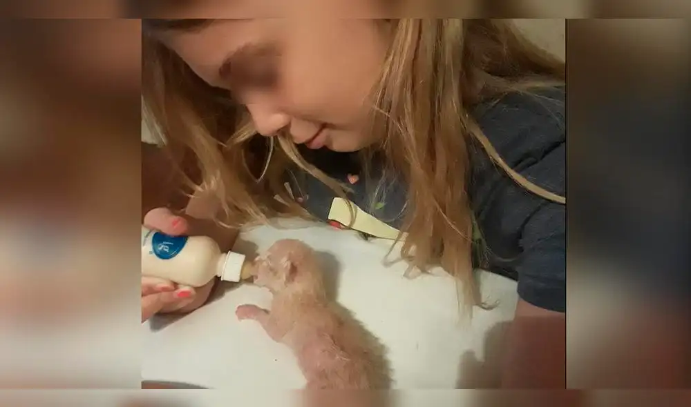 Facebook: niña fallece tras intentar rescatar a sus gatos detrás de la secadora [FOTOS]