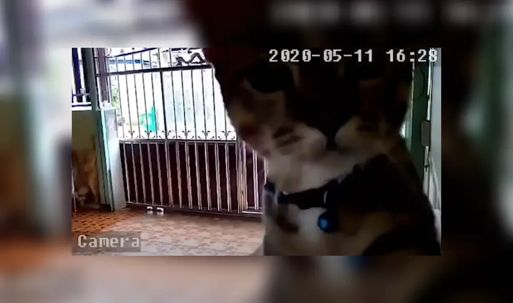 Desliza hacia la izquierda para ver las imágenes del viral de YouTube. Desliza hacia la izquierda para ver las imágenes del viral de YouTube.