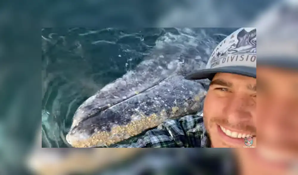 Desliza para ver los detalles del video viral publicado en YouTube. Foto: Captura. Desliza para ver los detalles del video viral publicado en YouTube. Foto: Captura.