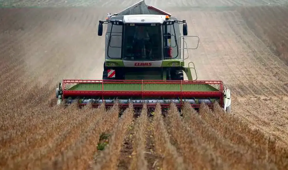 La decisión del gobierno de Argetina provocó una oleada de críticas porque ningún otro país ha autorizado este tipo de cultivos. Foto: AFP La decisión del gobierno de Argetina provocó una oleada de críticas porque ningún otro país ha autorizado este tipo de cultivos. Foto: AFP