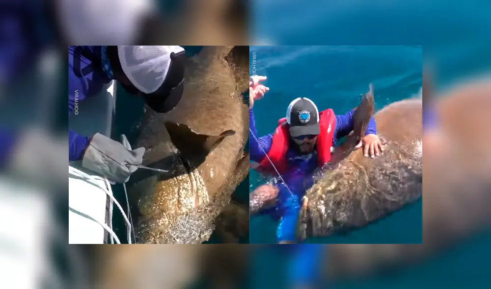 Desliza para ver los momentos más impactantes del aterrador video que se hizo viral en Facebook.