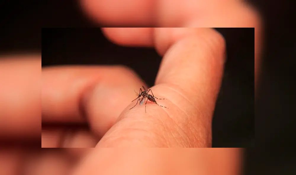 La Secretaría de Salud informó que los estados con mayor afectados son Guerrero de Jalisco, Veracruz, Yucatán, Tabasco y Quintana Roo. (FOTO: Internet) La Secretaría de Salud informó que los estados con mayor afectados son Guerrero de Jalisco, Veracruz, Yucatán, Tabasco y Quintana Roo. (FOTO: Internet)