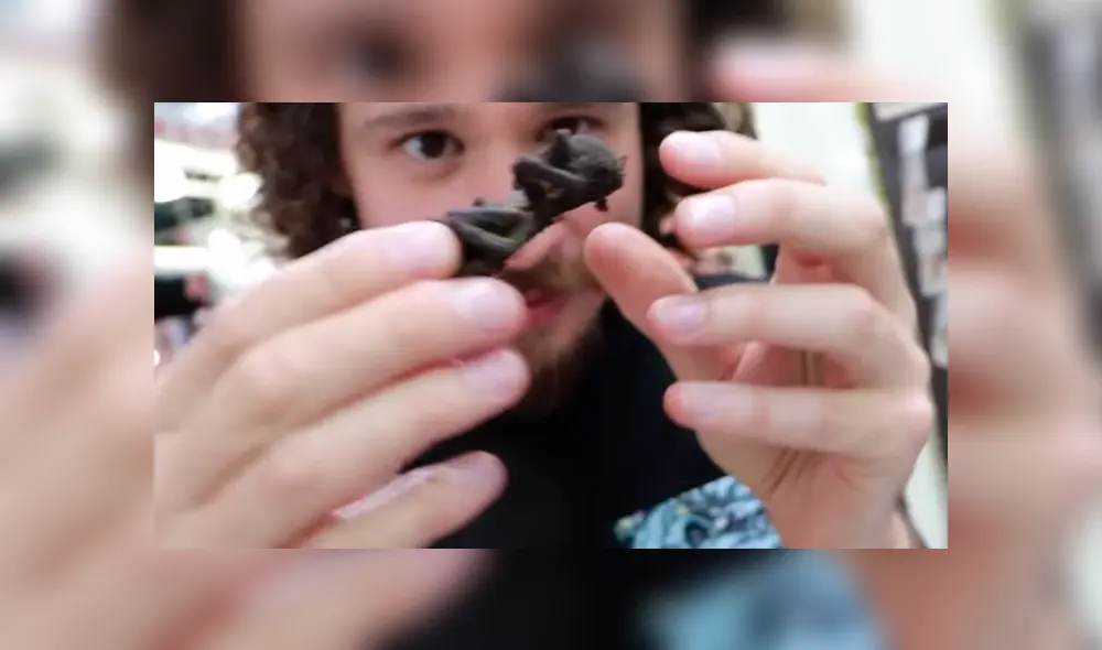 Luisito Comunica paga 80 soles por comer enorme tarántula venenosa, sin imaginar lo que pasaría.