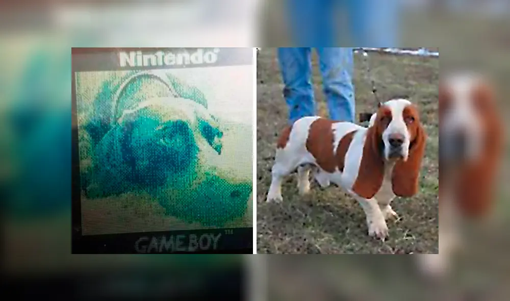 El emocionado padre mostraba su preciada Game Boy a su hijo de 3 años, cuando encontró una fotografía de su mejor amigo en 1999.