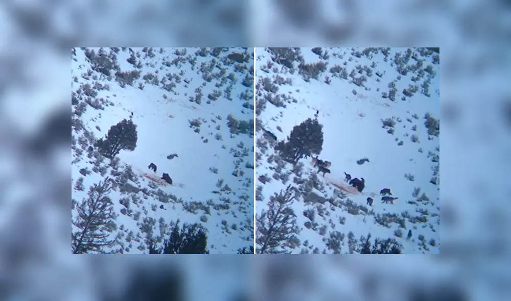 Desliza para ver los momentos más impactantes del video que se hizo viral en Facebook. Desliza para ver los momentos más impactantes del video que se hizo viral en Facebook.