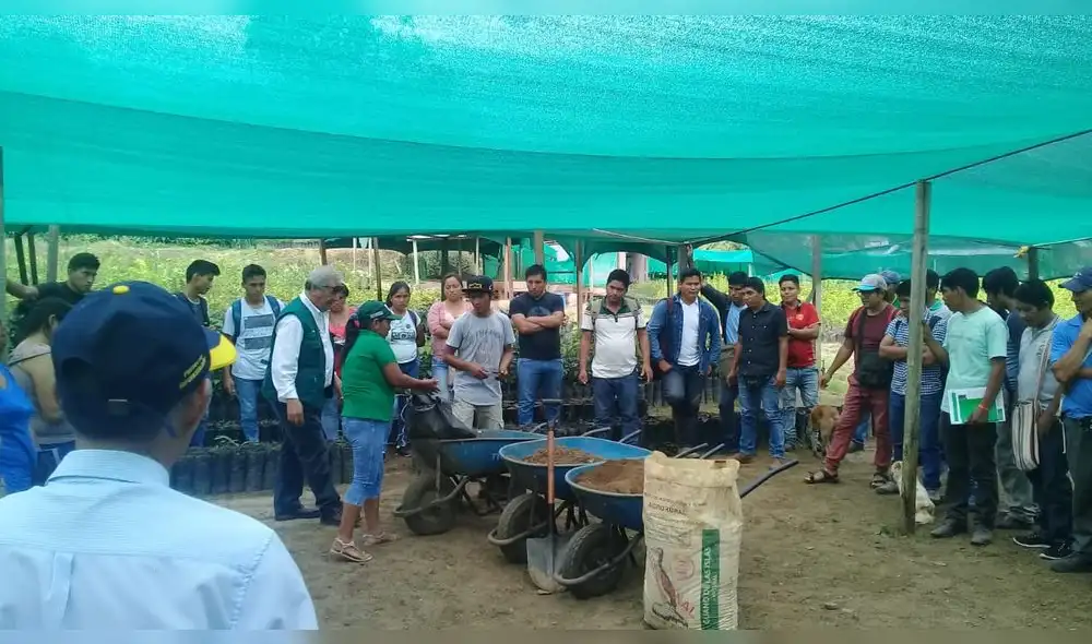 Productores de café se capacitan en el manejo del guano como abono 