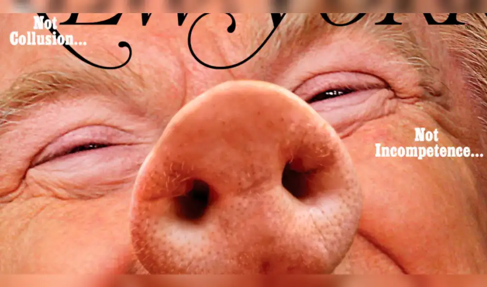 Estados Unidos: Donald Trump con nariz de cerdo en portada de prestigiosa revista [FOTO]