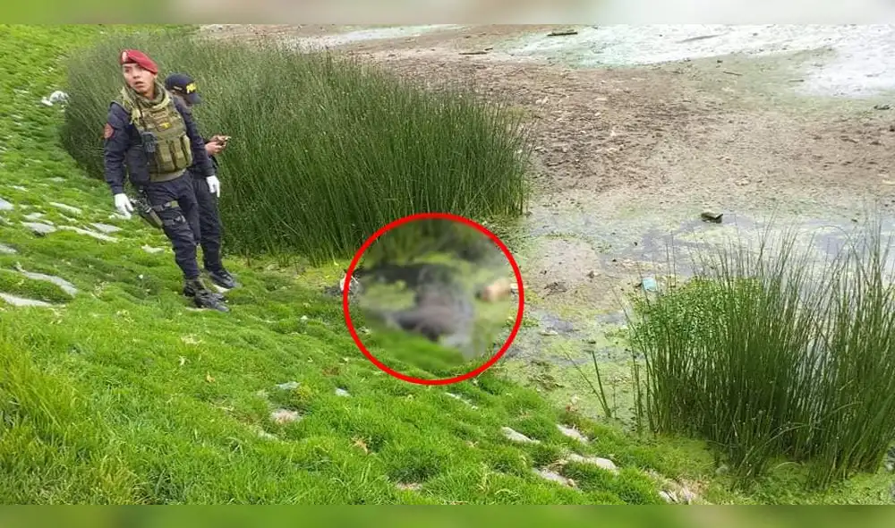 Puno: hallan cadáver de un varón a orillas del lago Titicaca [VIDEO]