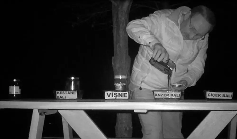 Descubre que osos le robaban su miel y decide ‘contratarlos’ como catadores [VIDEO]