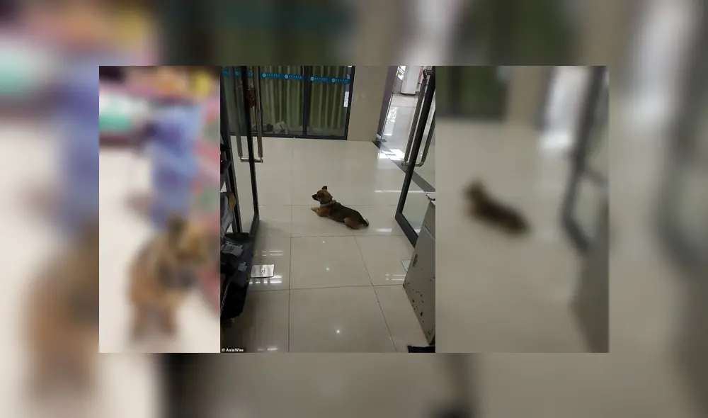 Desliza para ver los detalles de esta historia que se viralizó en Facebook. Foto: Captura.