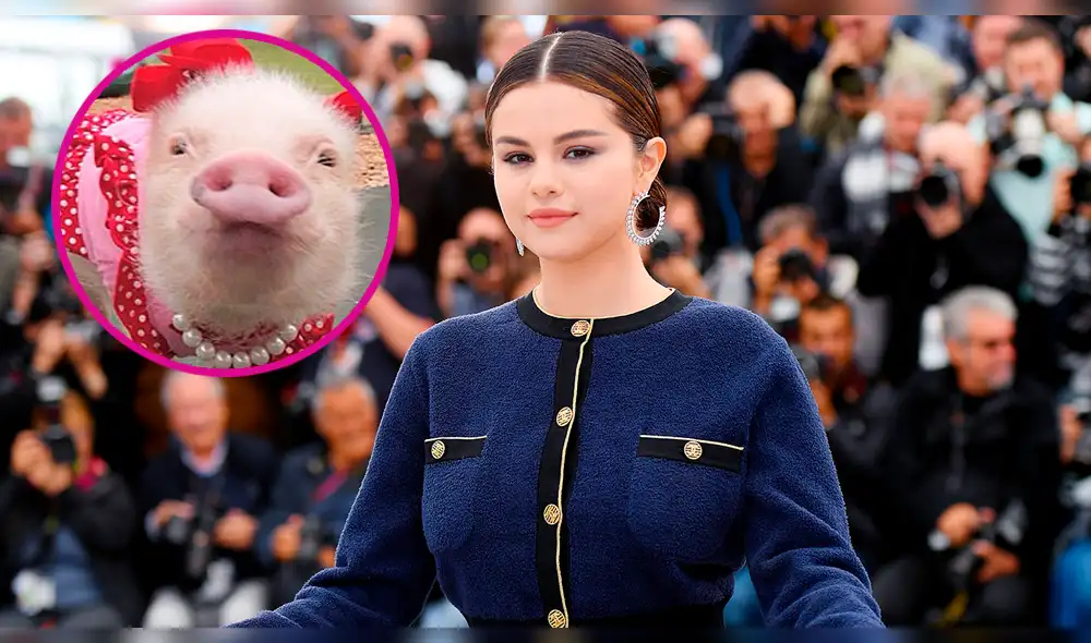 Usuarios comparan a Selena Gomez con un cerdo por aumentar de peso 