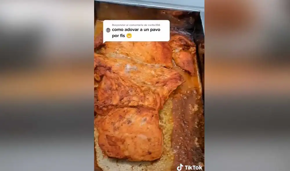 Desliza las imágenes para saber un poco más sobre la preparación de este exquisito pavo al horno. Foto: captura de TikTok/@amnerlolodiazalbe