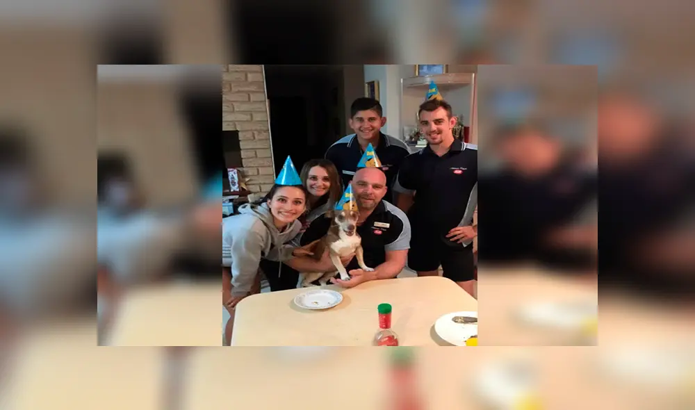 Desliza las imágenes para apreciar la conmovedora reacción del perro al notar la fiesta que organizó su familia.