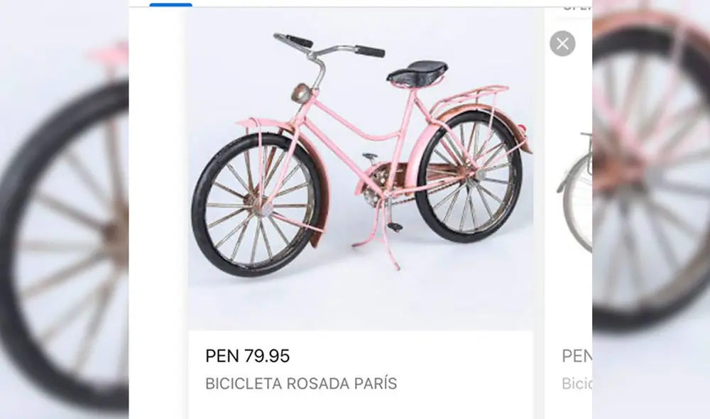 La joven olvidó leer la descripción del producto y recibió un adorno. Foto: Captura/Facebook/Twitter La joven olvidó leer la descripción del producto y recibió un adorno. Foto: Captura/Facebook/Twitter