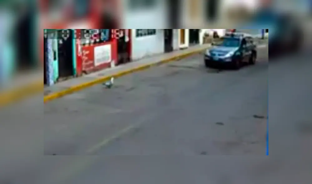 En Facebook, cámaras de seguridad captan el momento que un policía baja de su vehículo para recoger al animal que estaba perdido. En Facebook, cámaras de seguridad captan el momento que un policía baja de su vehículo para recoger al animal que estaba perdido.