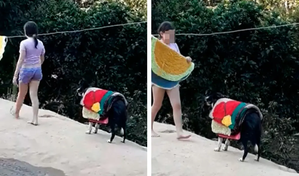 Desliza las imágenes para observar la curiosa escena protagonizada por un perro junto a la hija de su dueña. Foto: Captura de Facebook Desliza las imágenes para observar la curiosa escena protagonizada por un perro junto a la hija de su dueña. Foto: Captura de Facebook