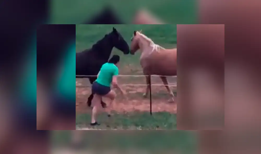 Facebook viral: mujer atraviesa el cerco eléctrico para acariciar caballos y recibe una gran descarga eléctrica