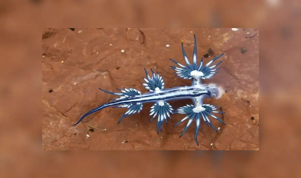 A mother holds his son next to Yangtze River in Wuhan, in China�s central Hubei province on May 12, 2020. - Wuhan plans to conduct coronavirus tests on the Chinese city's entire population after new cases emerged for the first time in weeks in the cradle of the global pandemic, state media reported on May 12. (Photo by Hector RETAMAL / AFP) A mother holds his son next to Yangtze River in Wuhan, in China�s central Hubei province on May 12, 2020. - Wuhan plans to conduct coronavirus tests on the Chinese city's entire population after new cases emerged for the first time in weeks in the cradle of the global pandemic, state media reported on May 12. (Photo by Hector RETAMAL / AFP)