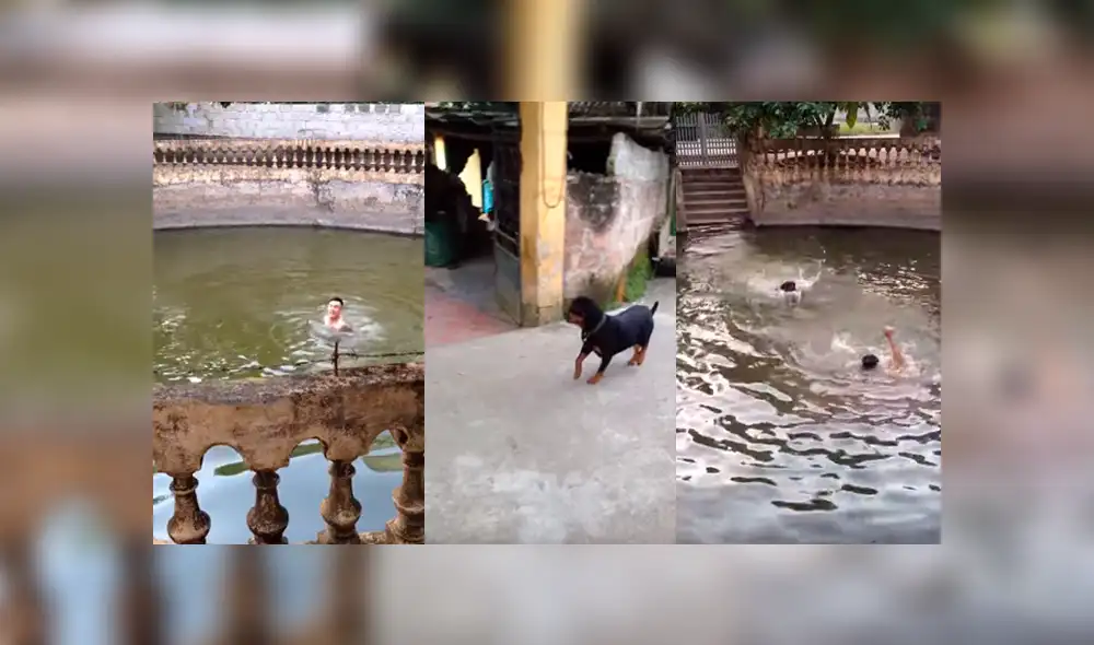 Video es viral en YouTube. Apenas escuchó los gritos de su dueño, el perro tuvo una reacción que fue aplaudida por miles de personas en las redes sociales. Foto: Captura. Video es viral en YouTube. Apenas escuchó los gritos de su dueño, el perro tuvo una reacción que fue aplaudida por miles de personas en las redes sociales. Foto: Captura.