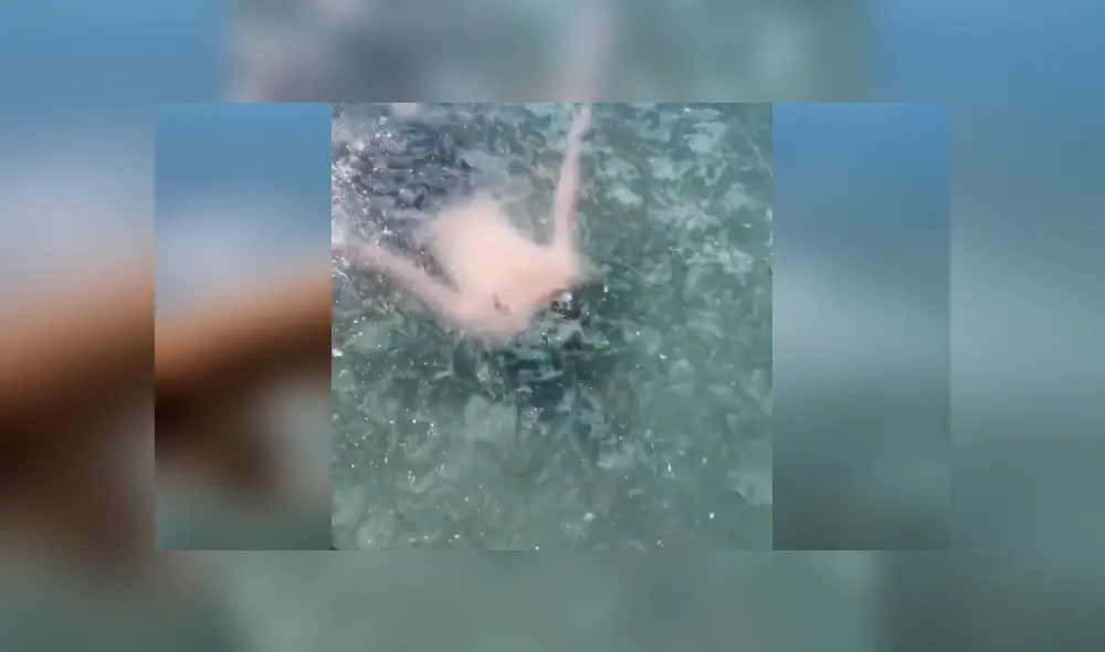 Desliza hacia la izquierda para ver más del video viral