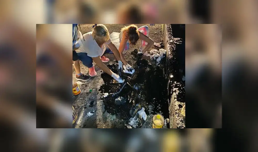 Desliza para descubrir lo que le sucedió a Aloe después de caerse a un pozo de brea. Foto: Facebook Desliza para descubrir lo que le sucedió a Aloe después de caerse a un pozo de brea. Foto: Facebook