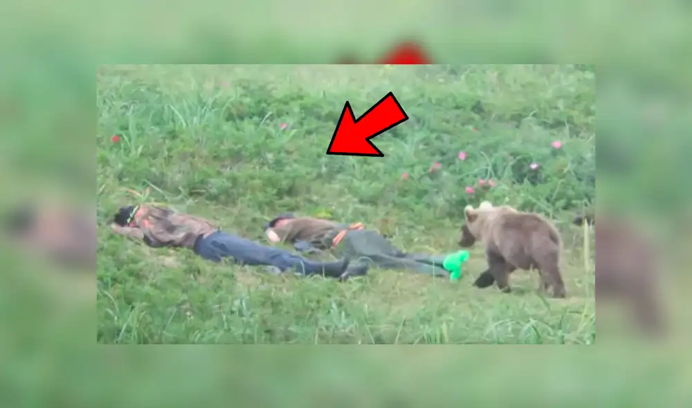 Unos chicos pasaron el susto de sus vidas mientras dormían en una pradera de Rusia. Foto: captura