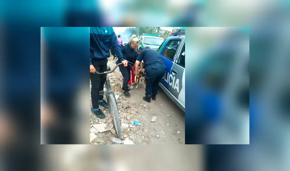 Youtube viral: mujer maltrata perro y policía la encara para decirle esto [VIDEO]