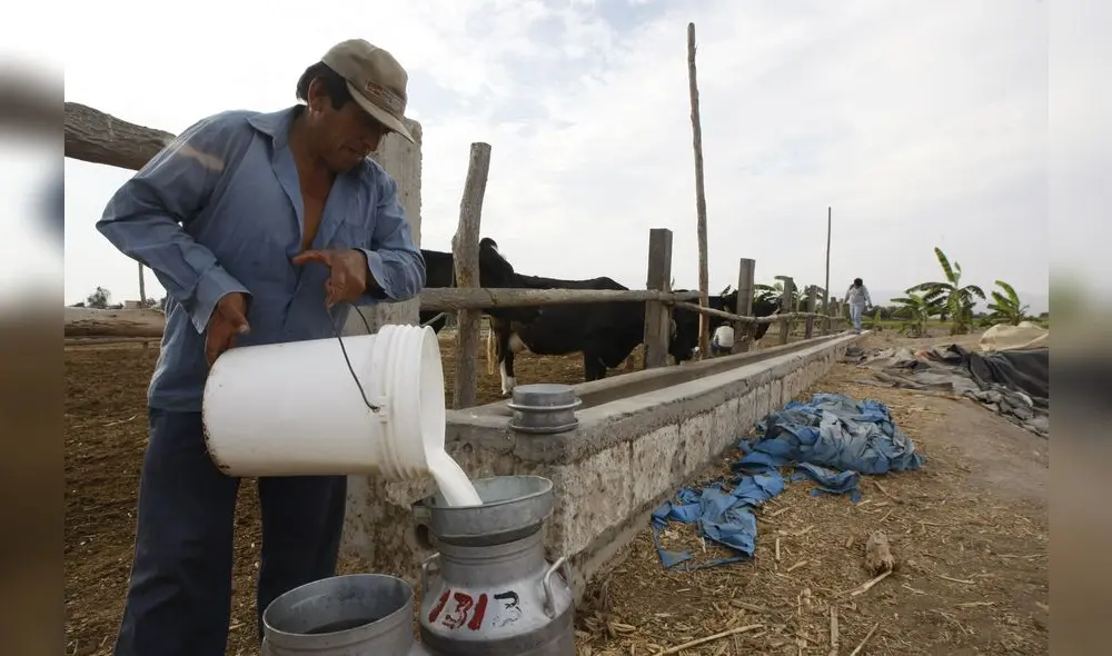 Asociación de Industriales Lácteos niega que haya dominio sobre los precios Asociación de Industriales Lácteos niega que haya dominio sobre los precios