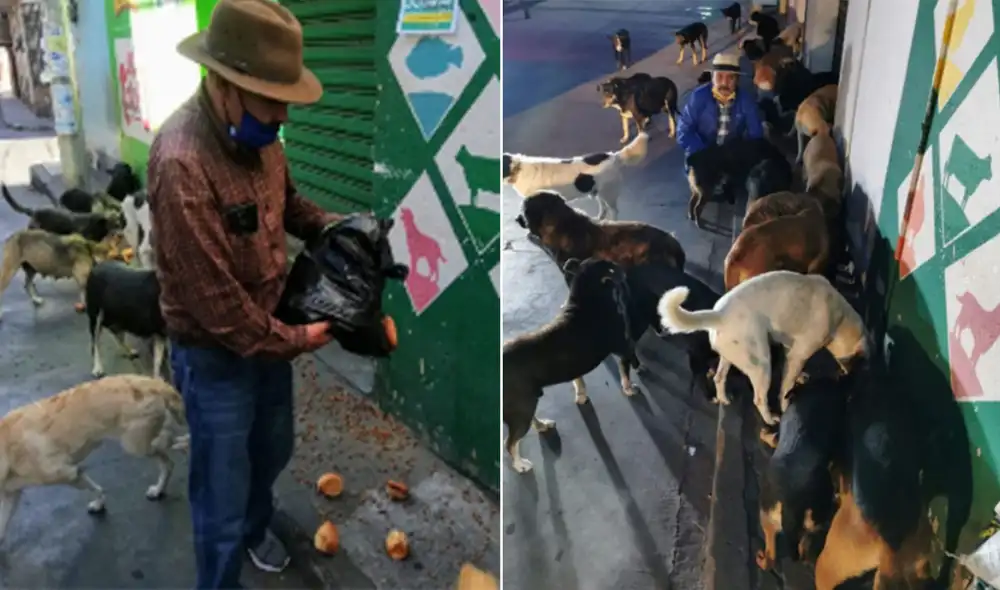 Desliza las imágenes para conocer más sobre este acto de nobleza hacia los perritos que viven en la calle. Foto: Facebook