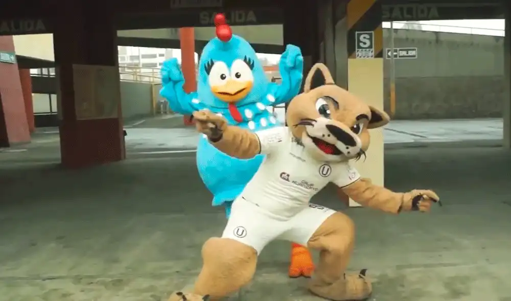 Universitario presentó a La Gallina Pintadita, quien estará en el primer partido de local en el Torneo Clausura 2019 | Foto: @Universitario