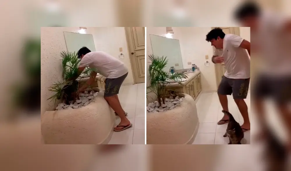 Desliza la imagen compartida en TikTok para ver todas las fotos.