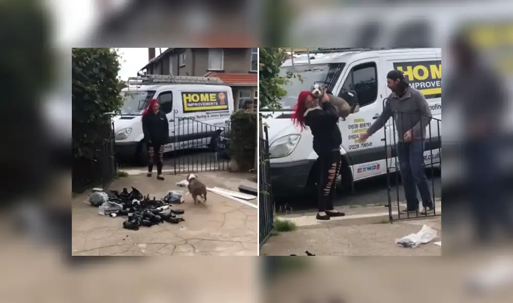 El perro se emocionó al ver a su dueños entrar a su casa e instantáneamente se abalanzó sobre ellos. Foto: YouTube.