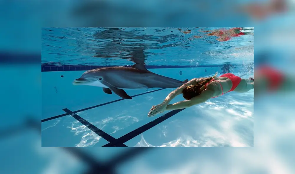 Técnicos en efectos especiales y animatronics crearon el cetáceo robot que se mueve y actúa como uno normal. (Foto: The Sun)