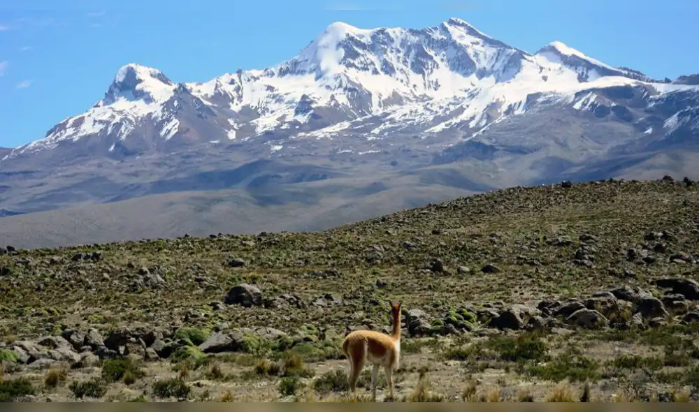 IGP vigilará otro volcán de Arequipa por actividad sísmica
