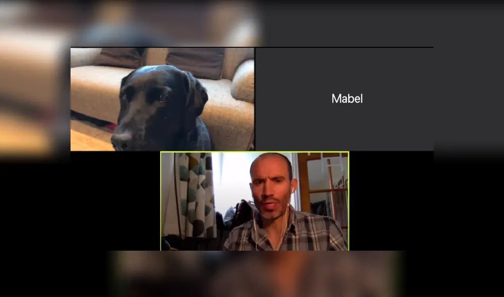 Desliza las imágenes para ver más sobre esta divertida 'conversación' que es viral en YouTube.