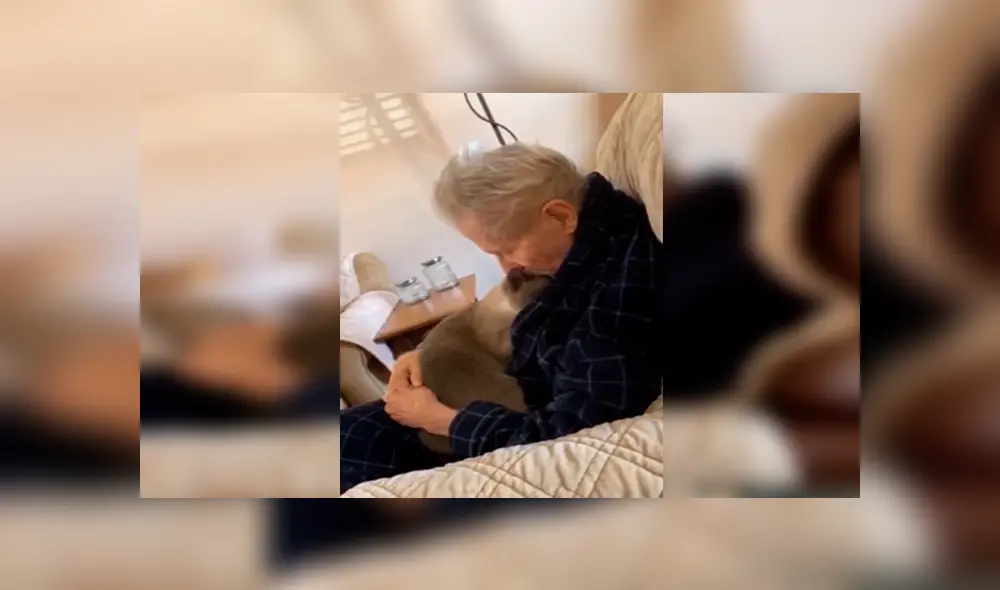 Desliza las imágenes para observar el tierno momento que protagonizó un anciano junto a un gato que lo cuidaba. Desliza las imágenes para observar el tierno momento que protagonizó un anciano junto a un gato que lo cuidaba.