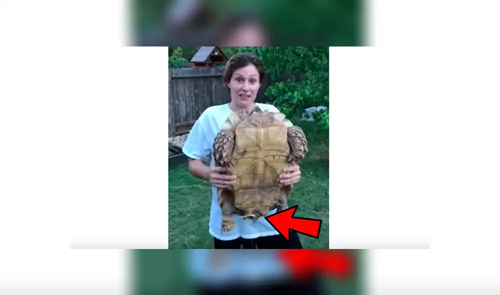 YouTube viral: Chica carga a su enorme criatura y esta le orina encima [VIDEO]