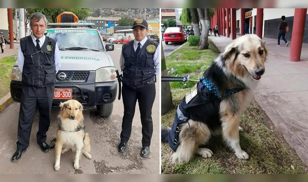 La historia de Osito se volvió en viral en redes sociales. La historia de Osito se volvió en viral en redes sociales.