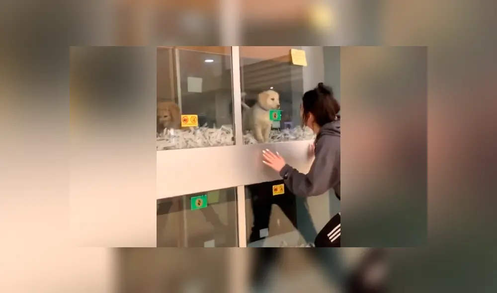 Desliza para ver todas las imágenes de Facebook. Foto: captura Desliza para ver todas las imágenes de Facebook. Foto: captura