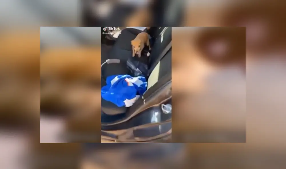 Desliza para ver los detalles del video viral publicado en Facebook. Foto: Captura.