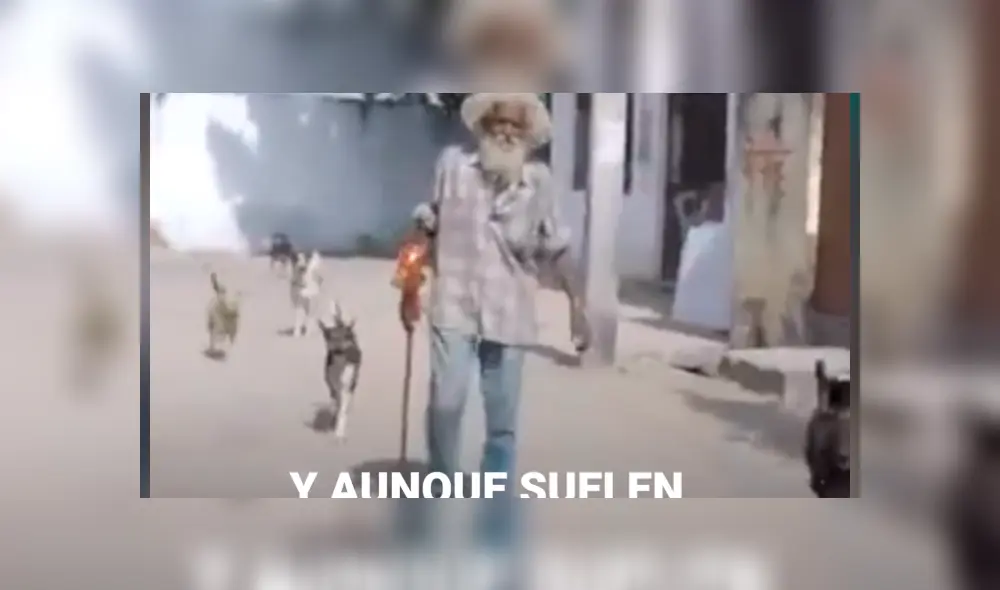 Desliza hacia la izquierda para ver la 'evolución' del perro callejero que se volvió viral en Facebook.