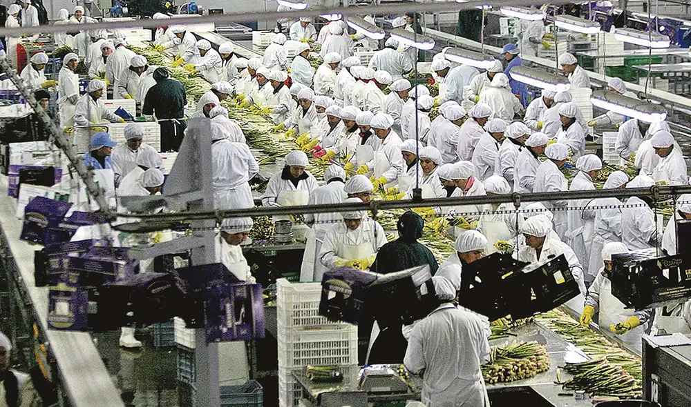 Obra. Una de las fases de la producción agroindustrial. Foto: difusión Obra. Una de las fases de la producción agroindustrial. Foto: difusión