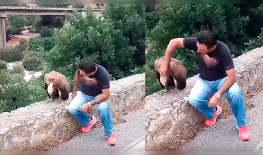 YouTube: hombre consuela a 'triste' buitre en la carretera, su historia te conmoverá [VIDEO]