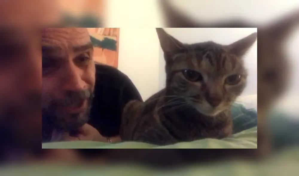 En Facebook, un señor estaba cansado que su gato despierte temprano y le hizo una inesperada súplica. En Facebook, un señor estaba cansado que su gato despierte temprano y le hizo una inesperada súplica.