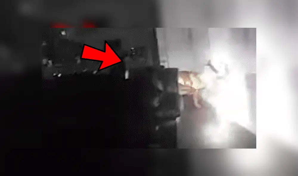 YouTube viral: Chica oye extraños ruidos, llama a policías y descubren misteriosa criatura [VIDEO]