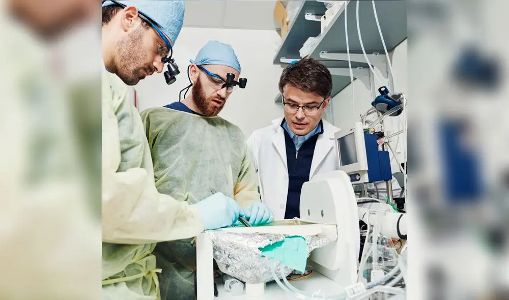 Stefano Daniele, Zvonimir Vrselja y Nenad Sestan con la máquina BrainEx en el laboratorio de Yale. Foto: The New York Times. Stefano Daniele, Zvonimir Vrselja y Nenad Sestan con la máquina BrainEx en el laboratorio de Yale. Foto: The New York Times.