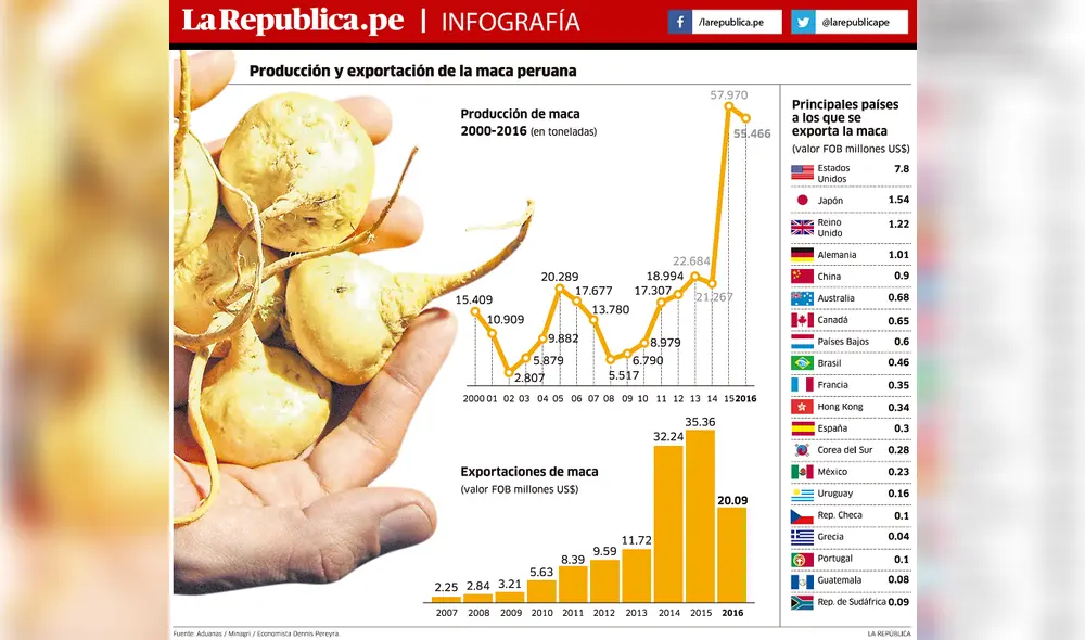Producción y exportación de la maca peruana Producción y exportación de la maca peruana